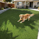 DIY Artificial Grass Rolls, Tall Fescue, Multi-Roll Pack 1.38" Pile