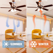 DIY Living Room 51" Bronze Ceiling Fan with 3-Light & Remote Control