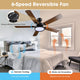 DIY Living Room 52" Ceiling Fan with 3-Light & Remote Control