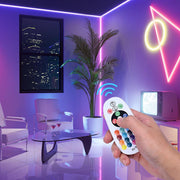 AC110V RF Remote + Controller for LED Neon Light Multi-Color