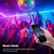 DIY Hardwire 120V Waterproof LED Neon Rope Light RGBW App RF Remote