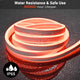 DIY 50ft Waterproof LED Neon Rope Light RGBW App RF Remote 120V