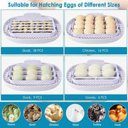 DIY Egg Incubator Turner w/ Candler Humidity Control (16Eggs)