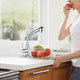 Aquaterior Pull-out Bar Sink Kitchen Faucet Stainless 1-Handle