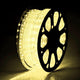 DIY 150ft Waterproof LED Rope Light with Power Cord & Connector (NO Color Changing)
