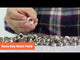 DIY 1/4" #0 Nickel Grommets and Washers Pack 2000