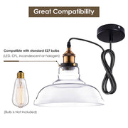 DIY Industrial Glass Pendant Light Clear Shade 11 in