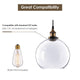 DIY Pendant Light Glass Global Shade 9 4/5 in