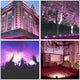 DIY 50W LED Flood Light Fixtures Purple Party Effect Lights
