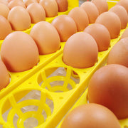 DIY Egg Incubator Auto Turner (56Eggs)