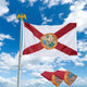 DIY 3x5ft Florida Flags with Hoisting Grommets 2ct/Pack