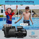 DIY 3/4HP Above Ground Pool Spa Pump 2640GPH