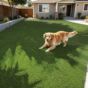 DIY Artificial Grass Rolls, Tall Fescue, Multi-Roll Pack 1.38" Pile