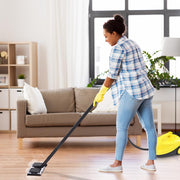 DIY Steam Cleaner for Carpet Car Tile Floor Kitchens