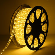 DIY Warm White Rope Lights Outdoor - 120V, 1/2"(13mm), Plug-in