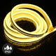 DIY 100ft Waterproof LED Neon Rope Light Warm White RF Remote