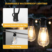 DIY 120V Dimmable String Lights (4x50ft), ST38-Bulb 100ct., Waterproof