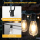 DIY 120V Dimmable String Lights (4x50ft), ST38-Bulb 100ct., Waterproof