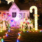 DIY 100ft C9 Christmas Light Pathway Set with Ground Stakes