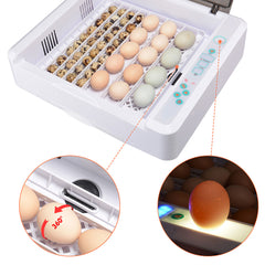 DIY Egg Incubator with Candler Auto Turner (36Eggs)