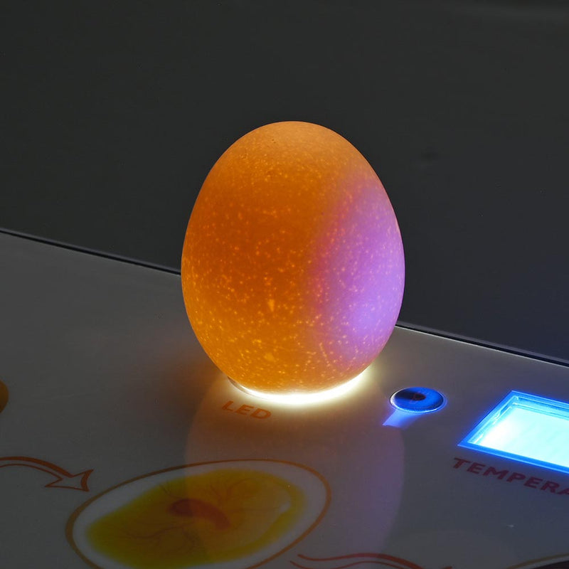 DIY Chicken Egg Incubator with Candler Auto Turner (12Eggs)