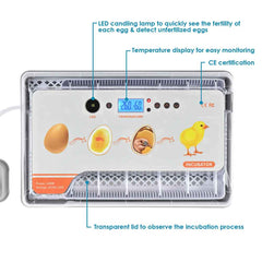 DIY Chicken Egg Incubator with Candler Auto Turner (12Eggs)