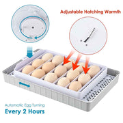 DIY Chicken Egg Incubator with Candler Auto Turner (12Eggs)