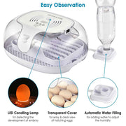 DIY Egg Incubator Turner w/ Candler Humidity Control (16Eggs)