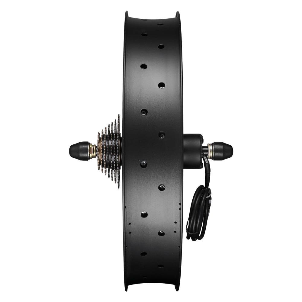 HOT Pedal Assist Convert Fat Bike To Electric Pedal Assist Fat Bike