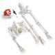 DIY Halloween Decor 5.4 ft. Skeleton Prop Posable Full Body