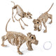 DIY Halloween Animal Skeletons Options
