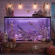 DIY Halloween Animal Skeletons Options