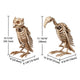 DIY Halloween Animal Skeletons Options