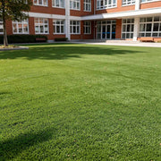 DIY Commercial Artificial Turf for Landscape, Putting Green 13'/15'x Cut-to-Length