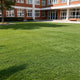 DIY Commercial Artificial Turf for Landscape, Putting Green 13'/15'x Cut-to-Length