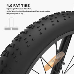 26in Electric Bike 48v 750w Fat Tire