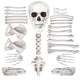 DIY Halloween Decor 28pcs Skeleton Skull Bones Props