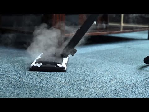 Steam Cleaner for Carpet Car Tile Floor Kitchens