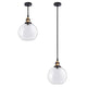 DIY Glass Pendant Light Clear Global Shade 7 9/10 in