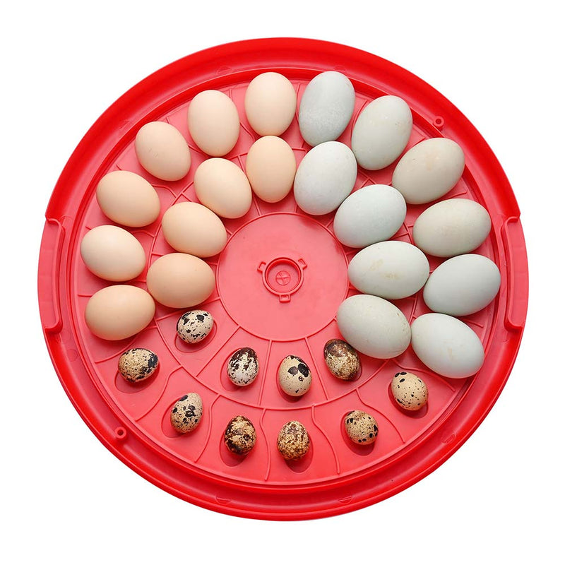 DIY Egg Incubator Auto Turner (30Eggs)
