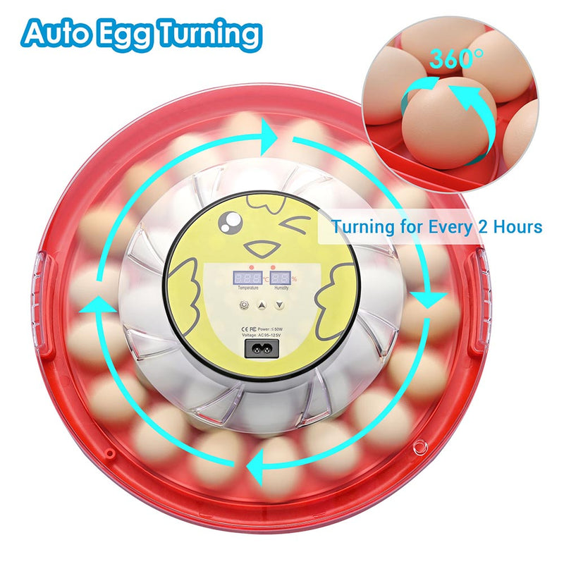 DIY Egg Incubator Auto Turner (30Eggs)