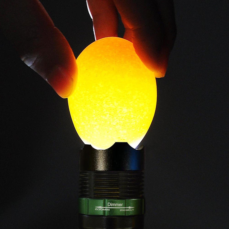 DIY Egg Candler Hatching Eggs Candling Light