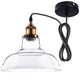 Industrial Glass Pendant Light Clear Shade 11 in
