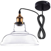 Industrial Glass Pendant Light Clear Shade 11 in